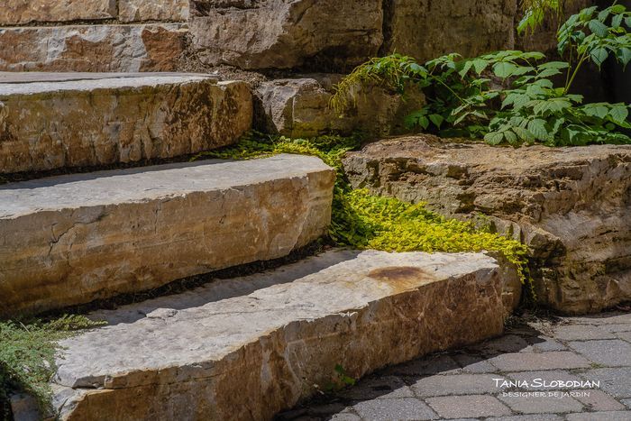 Réalisation aménagement paysager 22