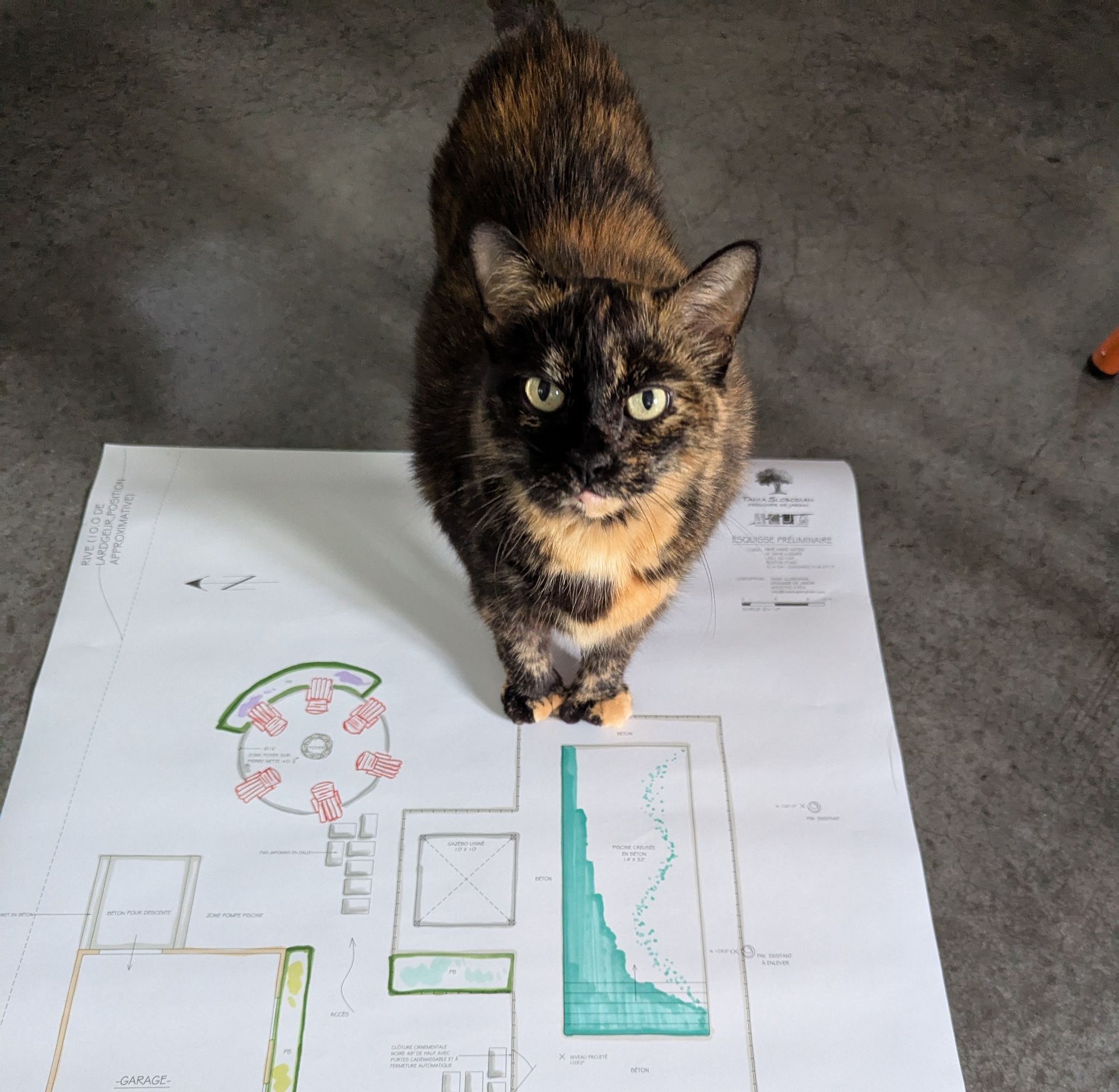 Équipe aménagement paysager 2