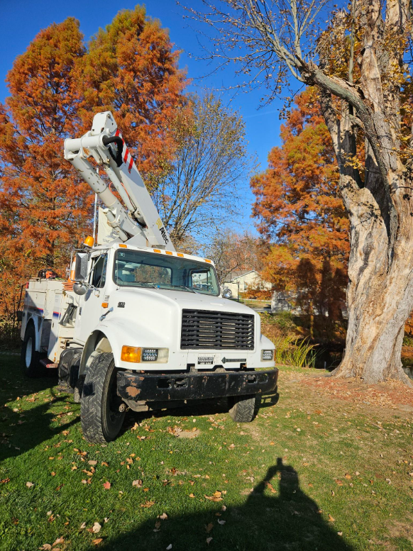 A white truck with a crane on top of it is parked in front of a tree.