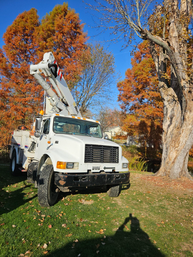 A yellow crane is cutting a tree with a chainsaw.