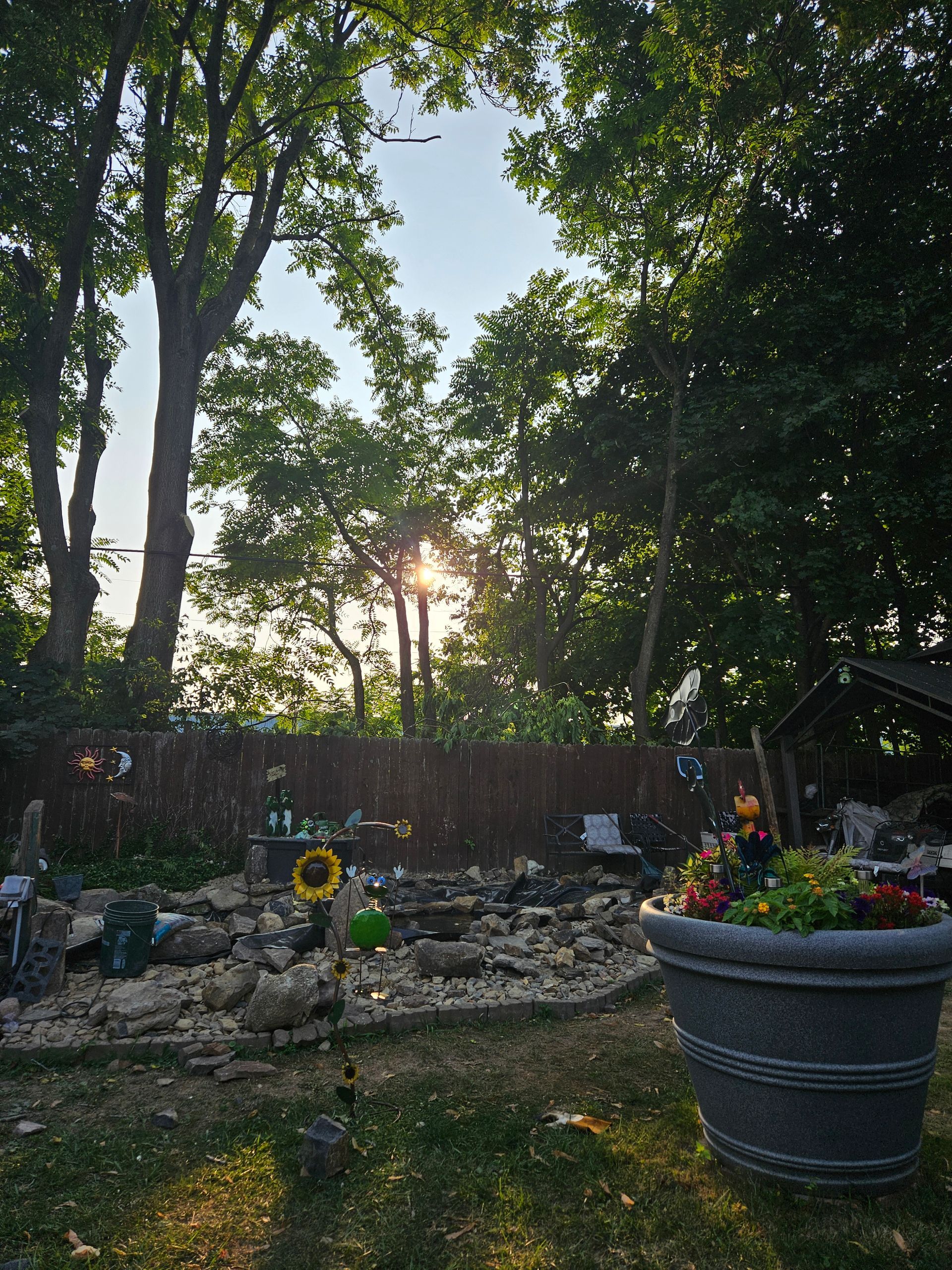 After Tree Trimming in Alliance, OH