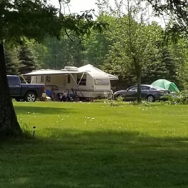 a group of tents are sitting on top of a lush green field