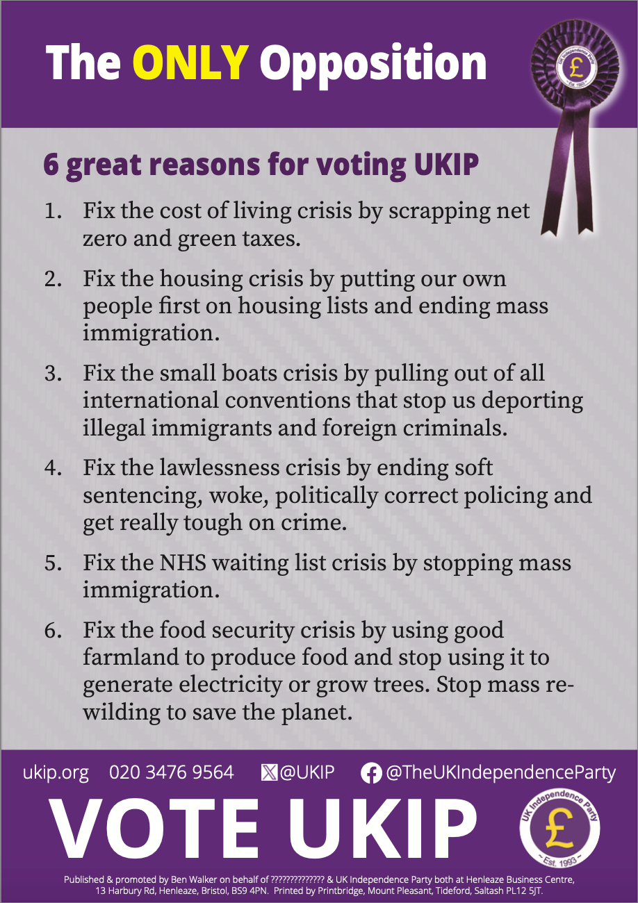 A5 National 2024 candidacy leaflet - back