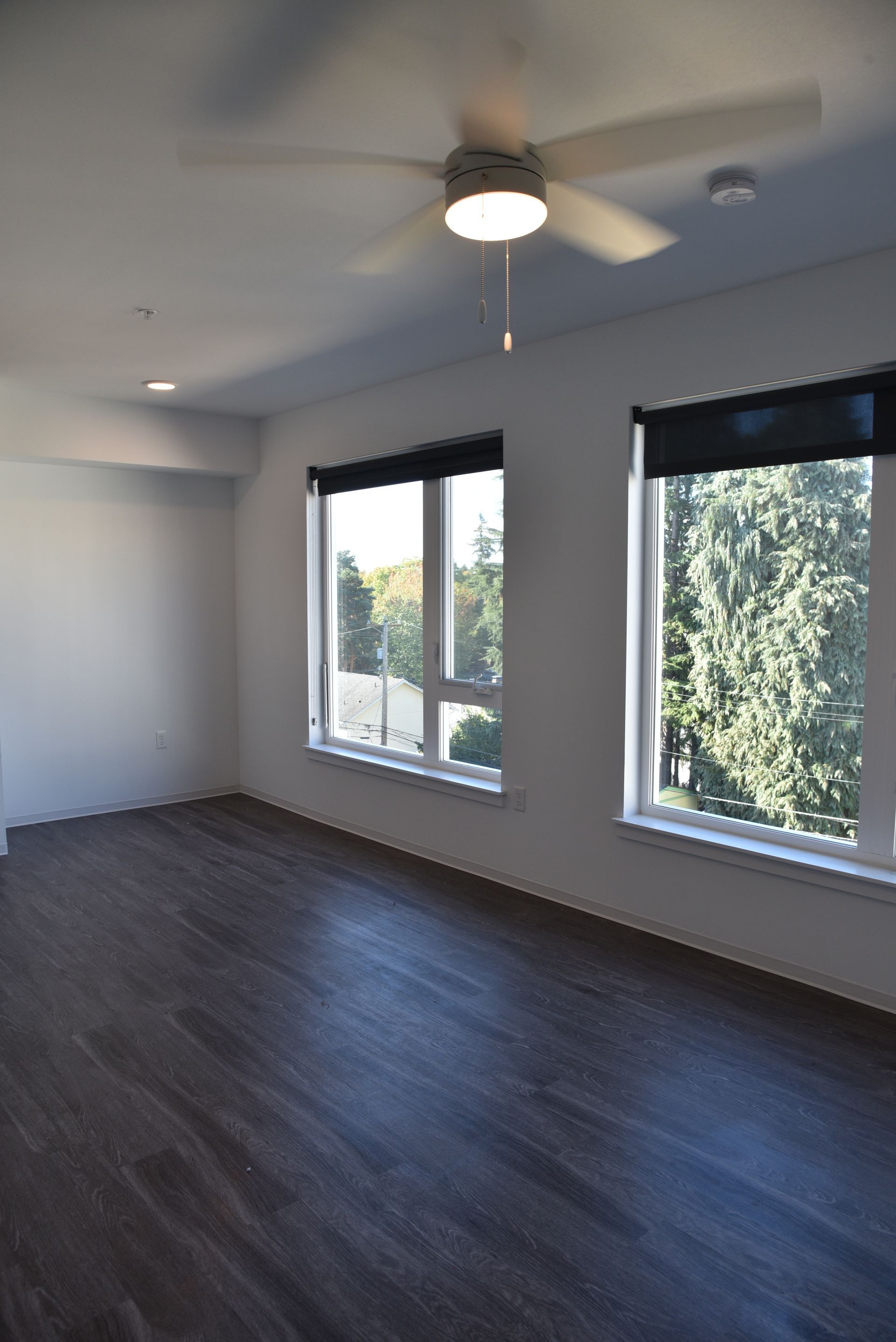 Photo showing plenty of natural light coming in through the two windows