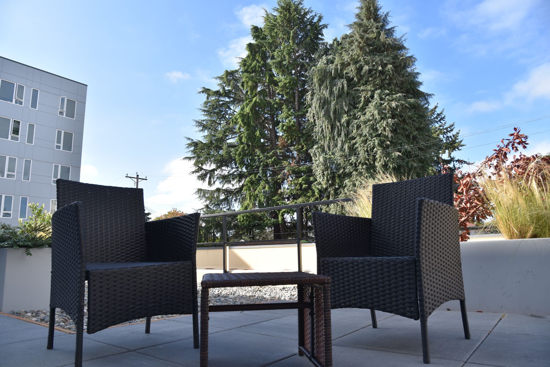 up close photo of two chairs in the courtyard