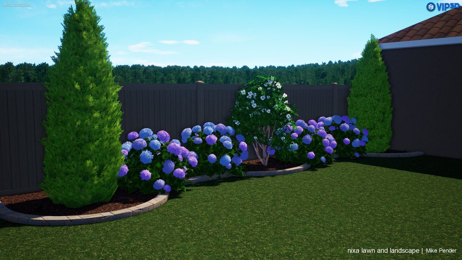 Backyard garden bed with blue and purple hydrangeas, two tall green trees, and dark brown fence.