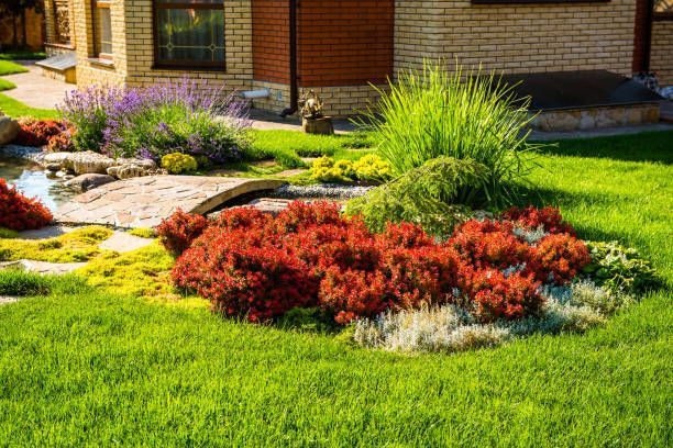 Colorful landscaped garden with shrubs, flowers, stone path and bright green lawn