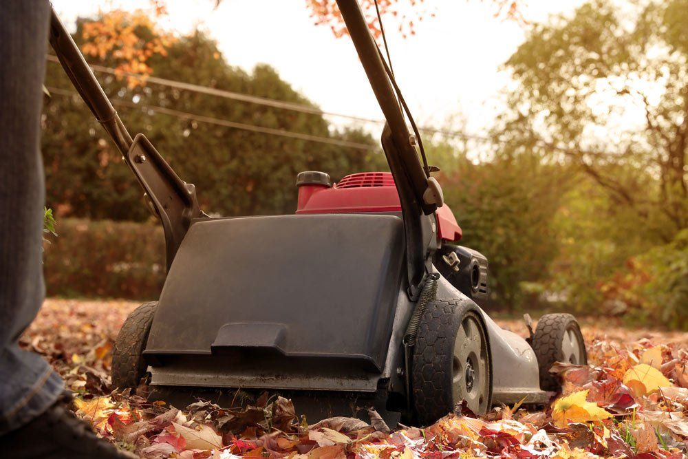 Man Collecting Old Autumn Leaves — Springfield, MO — Nixa Lawn Service