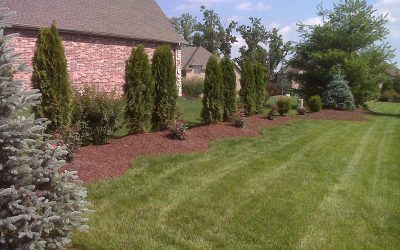 Green Plants Landscaping — Springfield, MO — Nixa Lawn Service