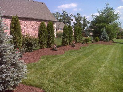 Wide with Green Trees Landscape — Springfield, MO — Nixa Lawn Service