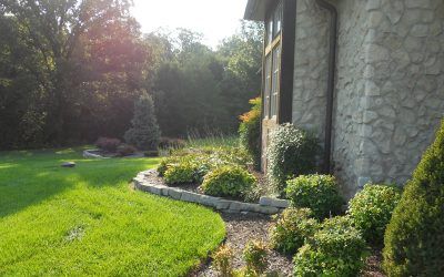 Home Backyard with Plant and Patio Beds — Springfield, MO — Nixa Lawn Service
