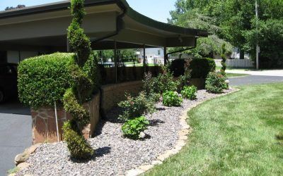 Landscaping Surrounding with Plants — Springfield, MO — Nixa Lawn Service
