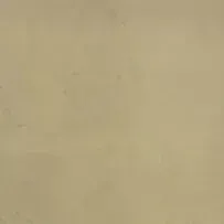 A close up of a piece of paper with a grainy texture.