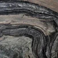 A close up of a rock with a swirl pattern.