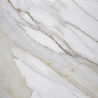 A close up of a white and gold marble tile.