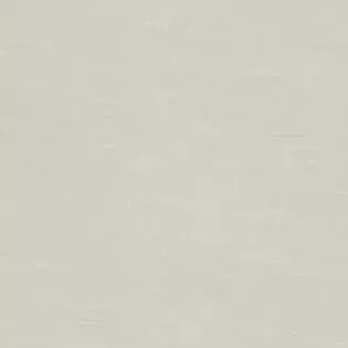 A close up of a white background with a plain texture.