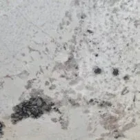 A close up of a white granite counter top with black spots.