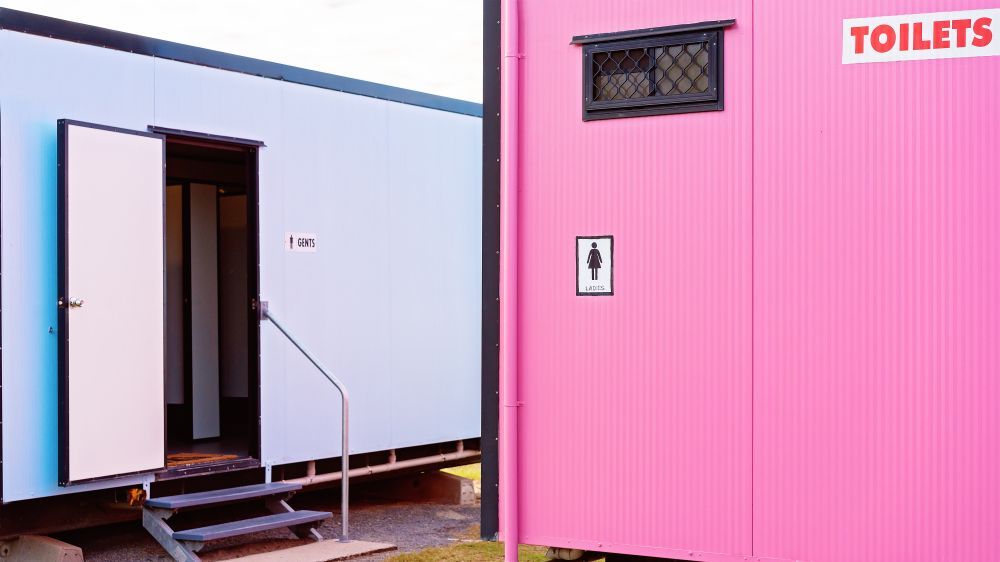 A Blue Toilet and A Pink Toilet Are Next to Each Other — NQ Trading In Edmonton, QLD