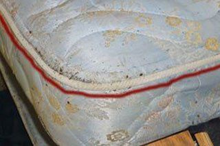 Mattress — Stockton, CA — Area Wide Exterminators