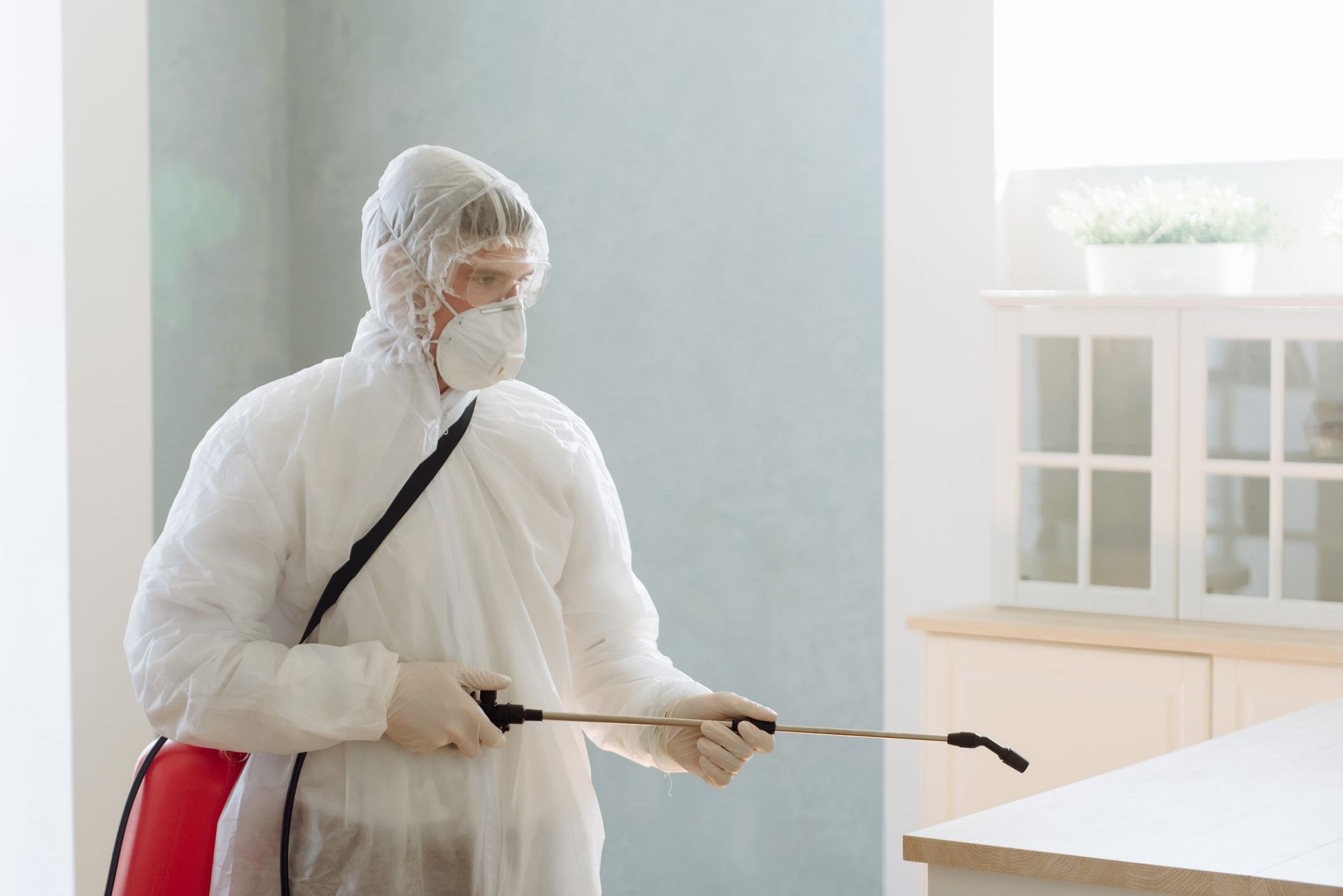 A professional contractor pests pests or viruses by disinfecting a home.
