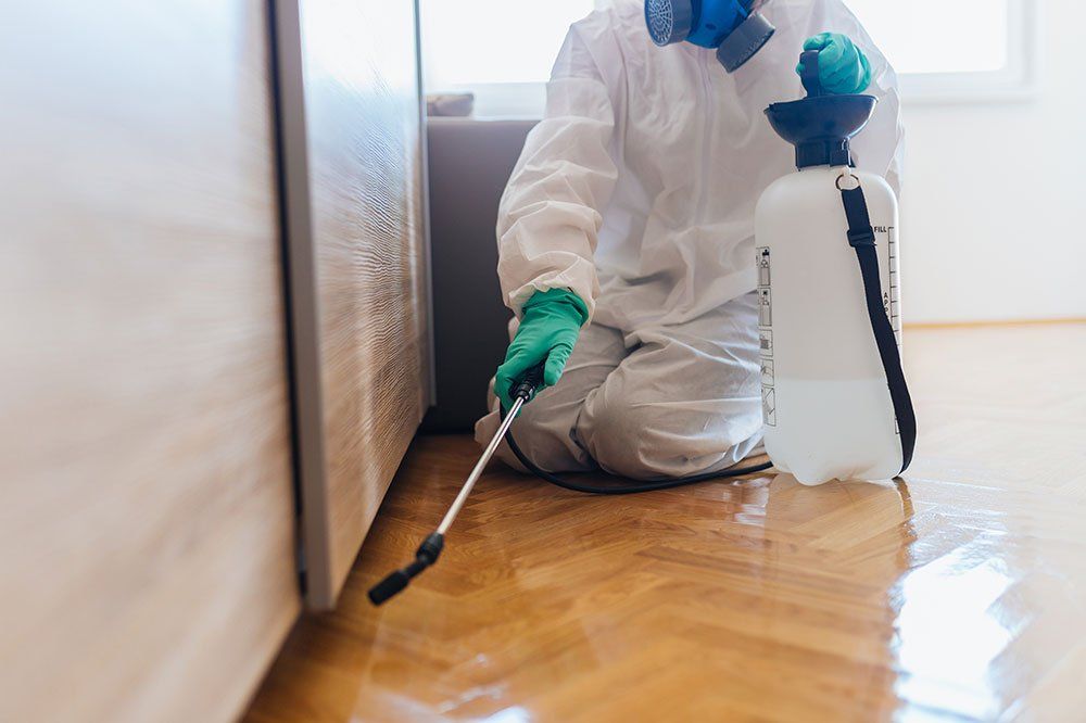 Worker Spraying Pesticides — Stockton, CA — Area Wide Exterminators