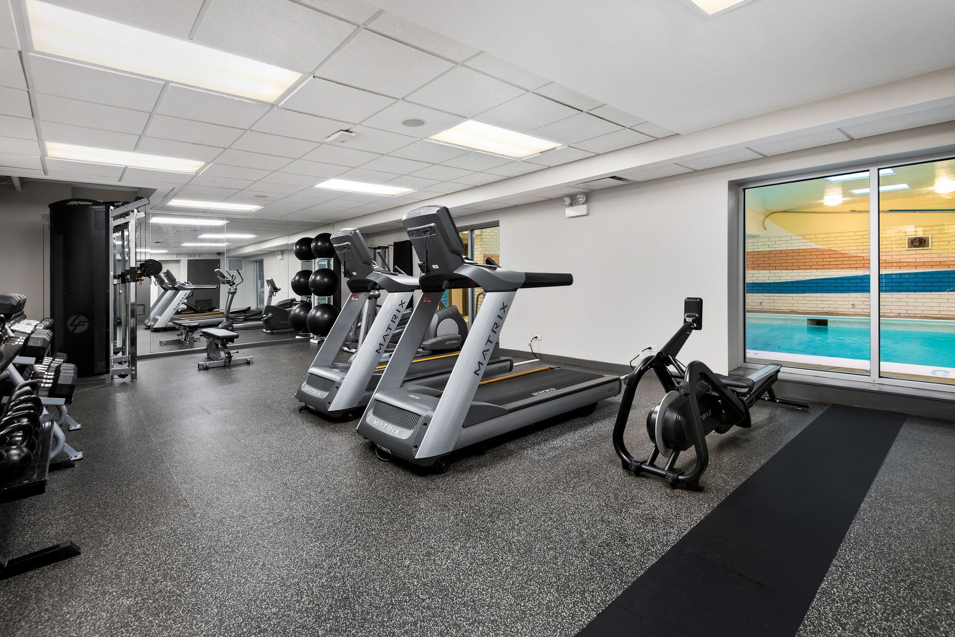 A gym with treadmills, a row of dumbbells, and next to a swimming pool.