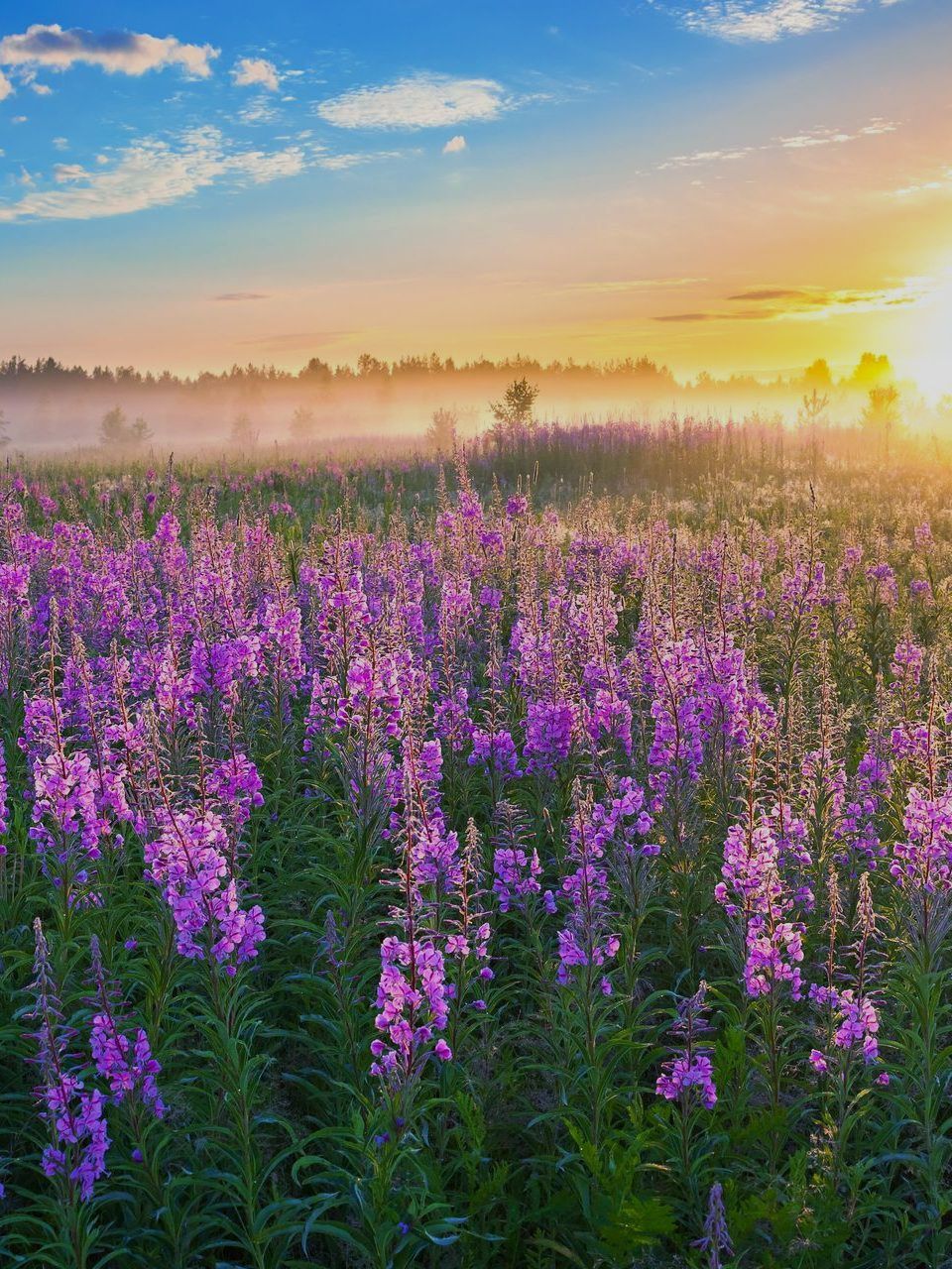 A wooden walkway leading to a gazebo overlooking a body of water at sunset.