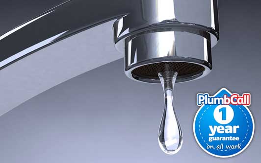 Plumbing Services