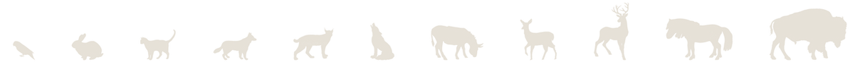 A row of white lines on a white background.