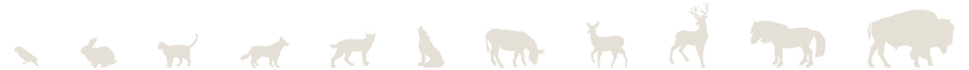 A row of white lines on a white background.