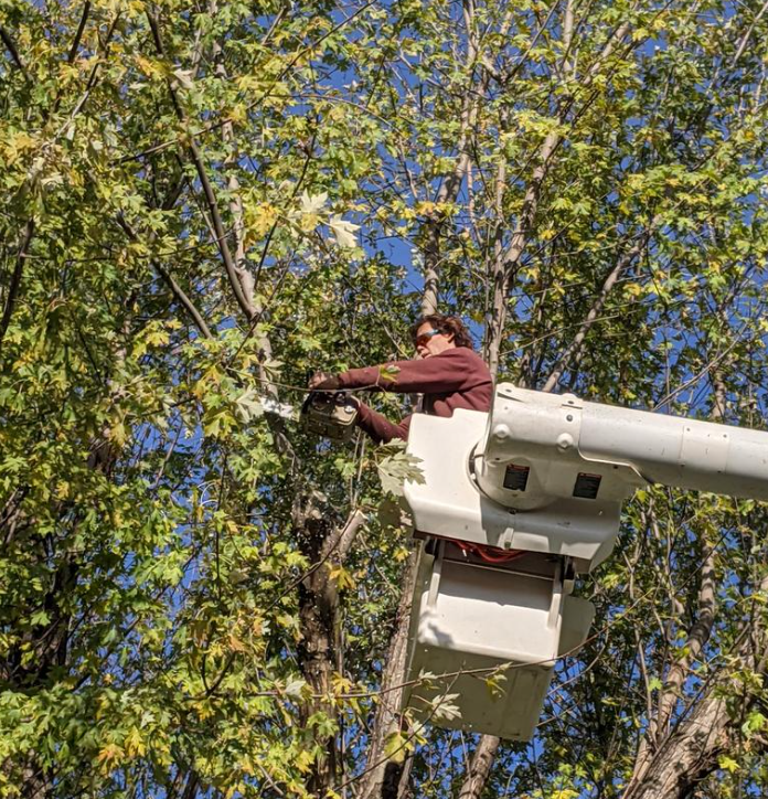 a man is cutting a tree branch with a chainsaw