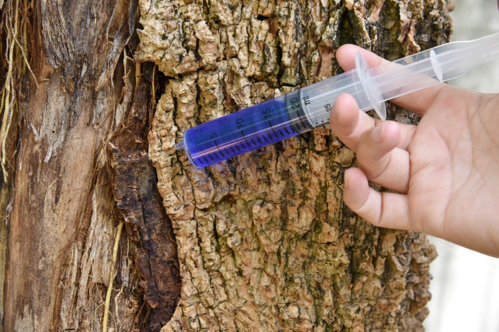 a person is holding a syringe in front of a tree