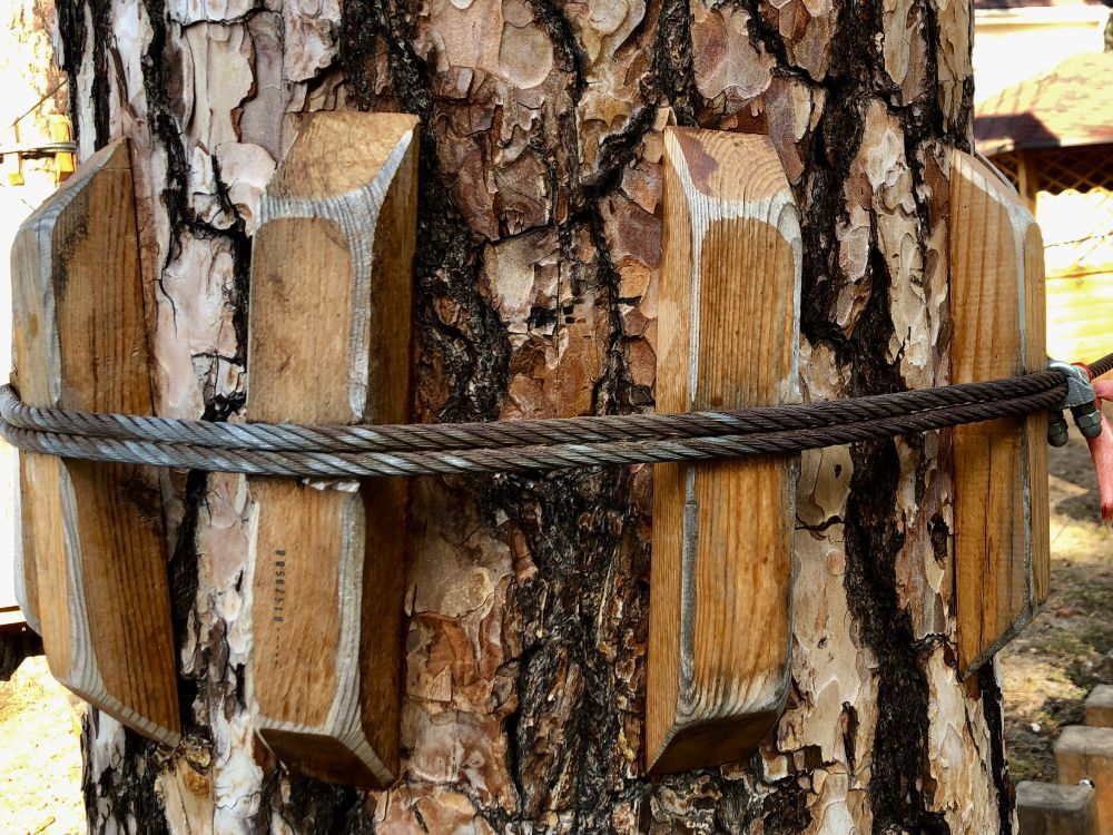 a close up of a tree trunk with wooden blocks attached to it