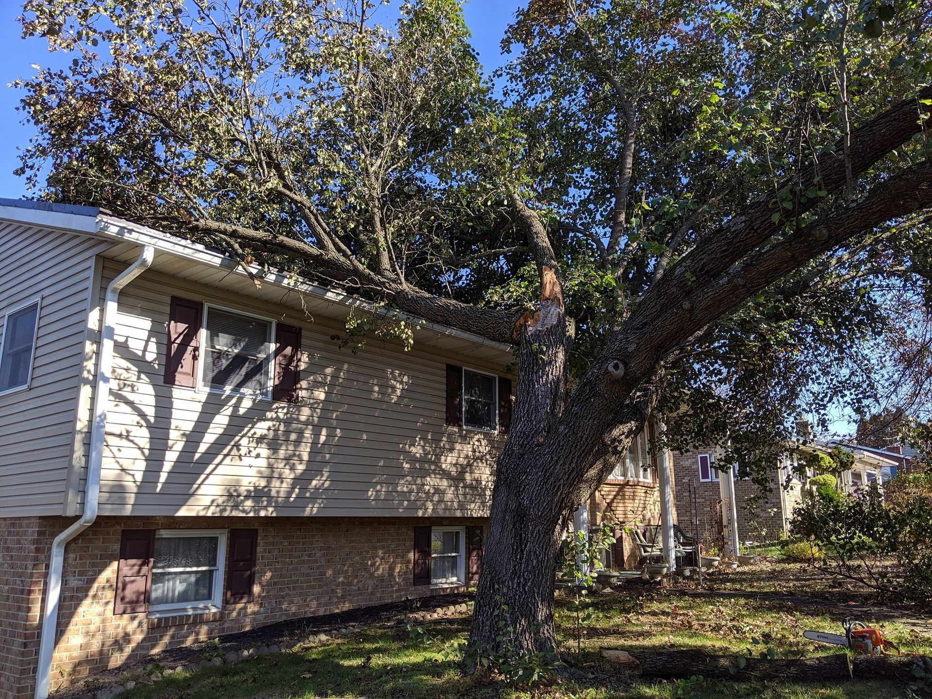 A house with a large tree in front of it.