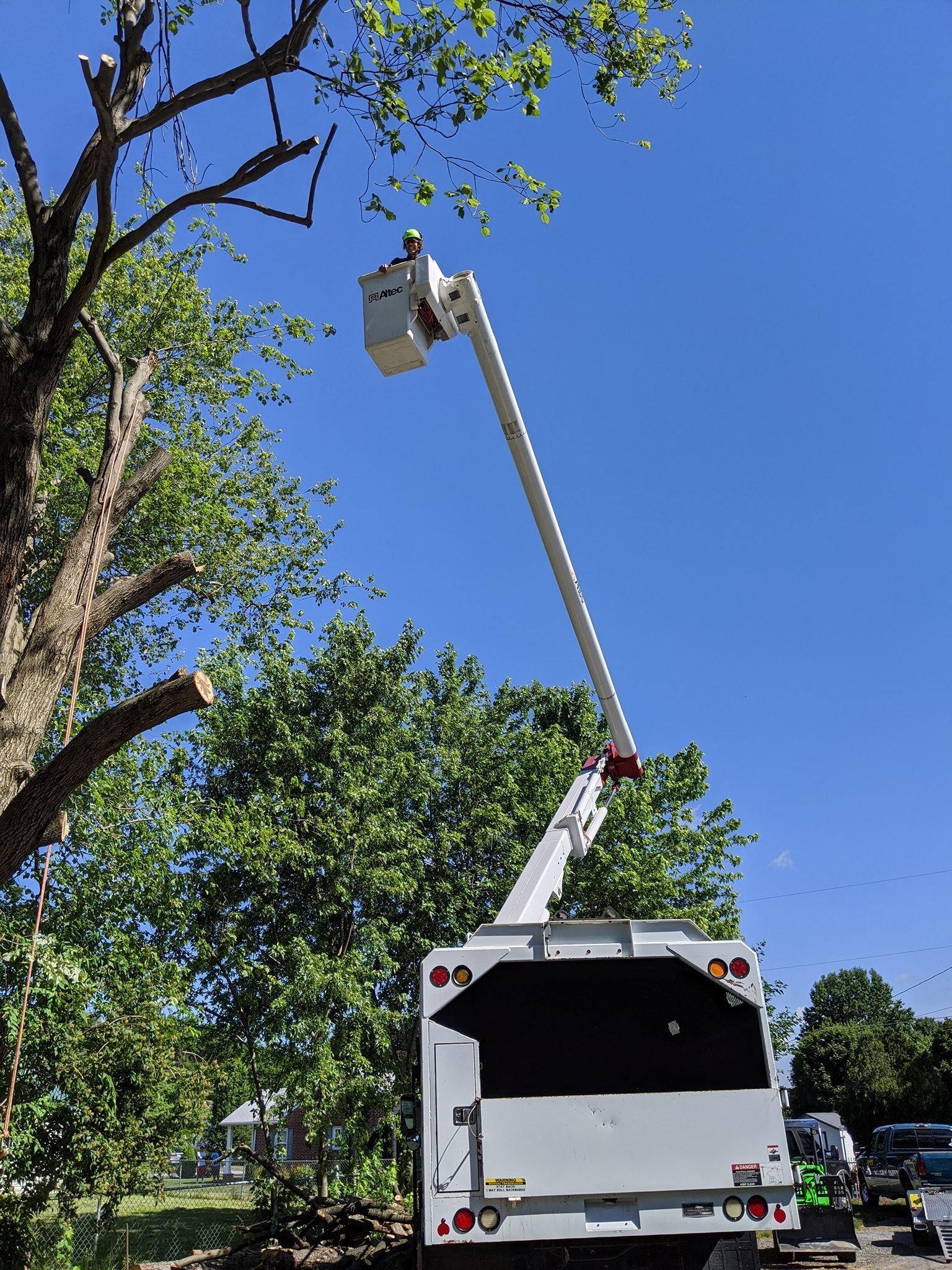 A white truck with a bucket on top of it is cutting a tree.