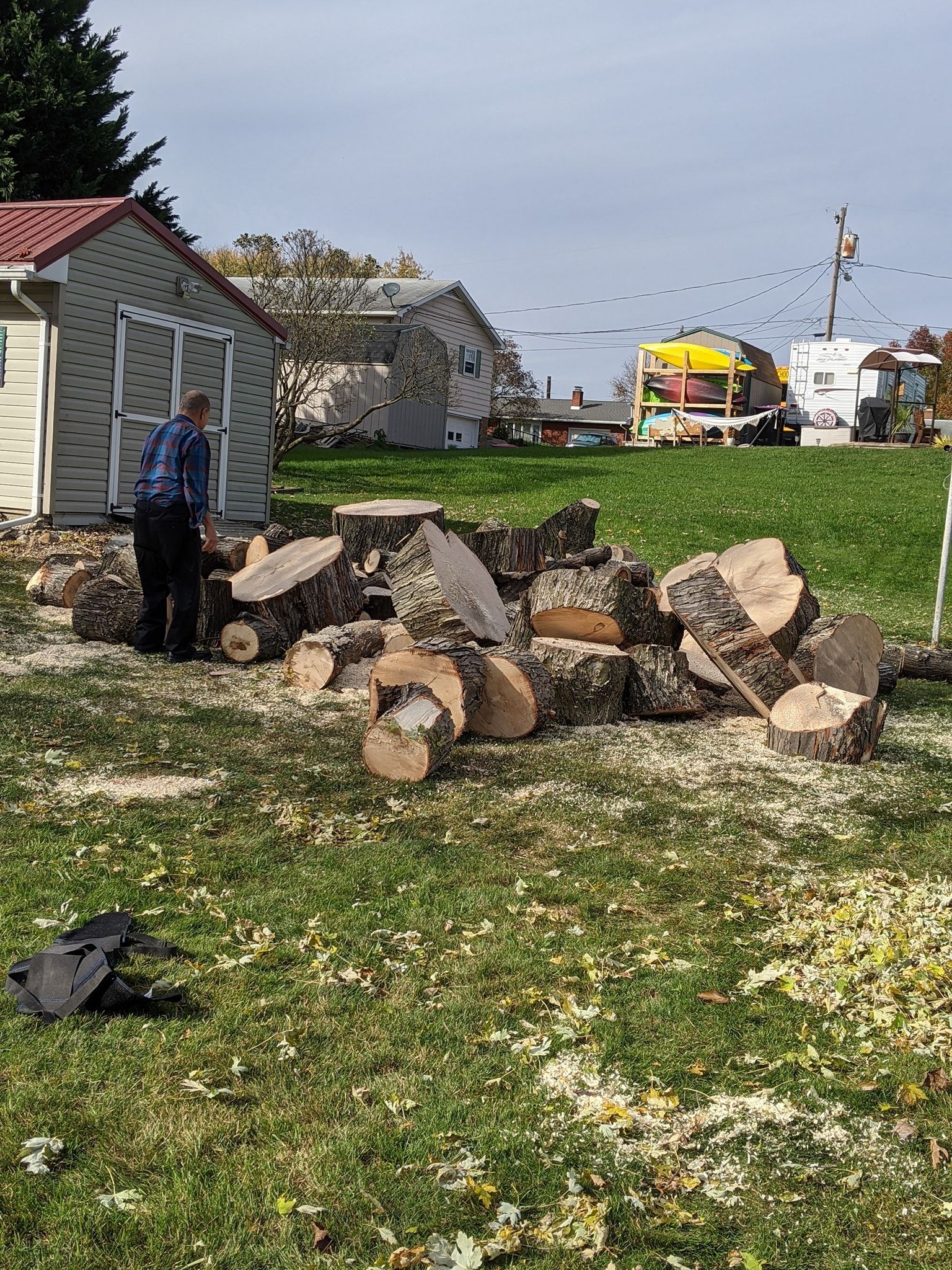 A man is standing next to a pile of logs in a grassy field.