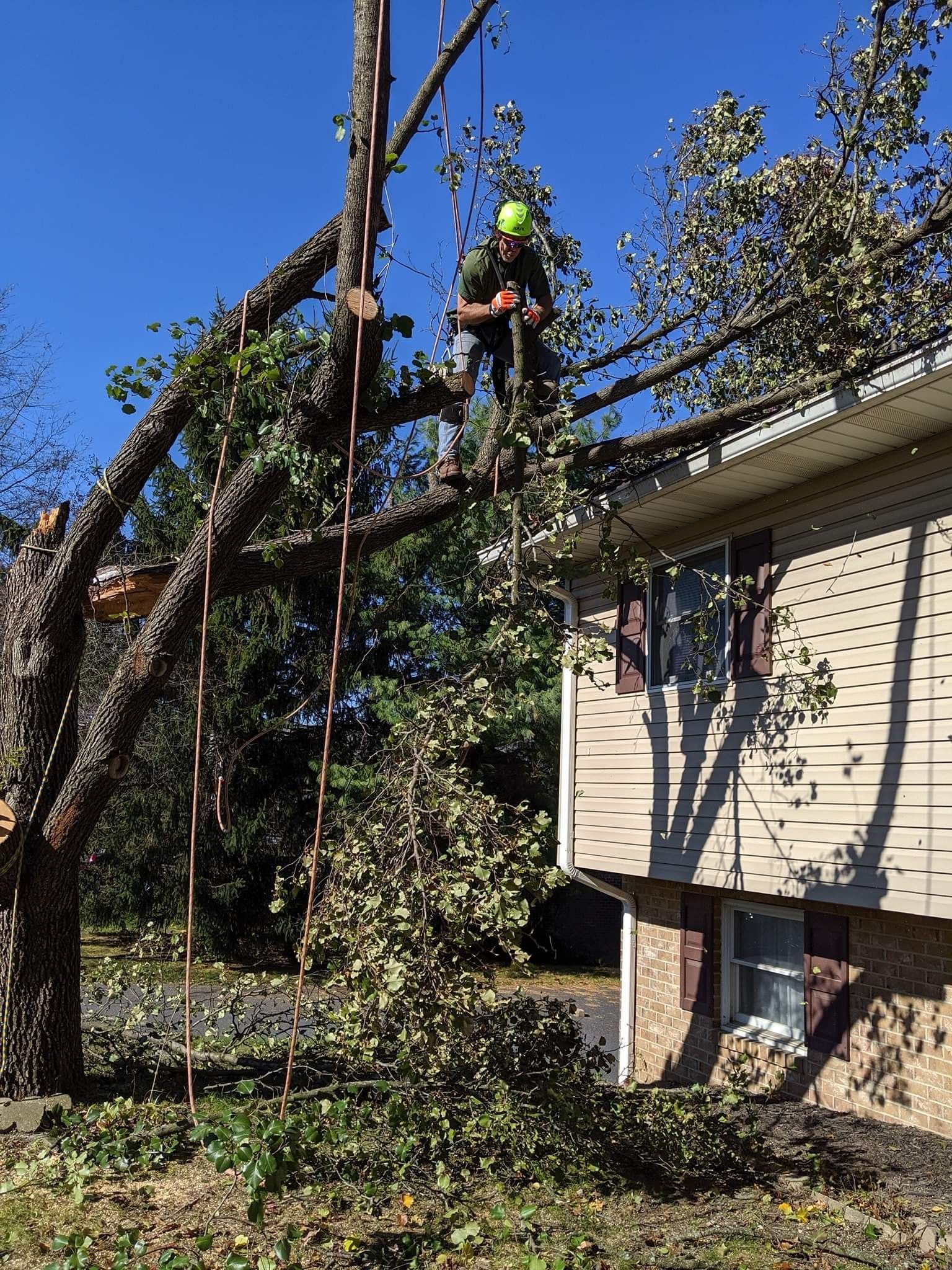A man is sitting on the roof of a house cutting a tree.