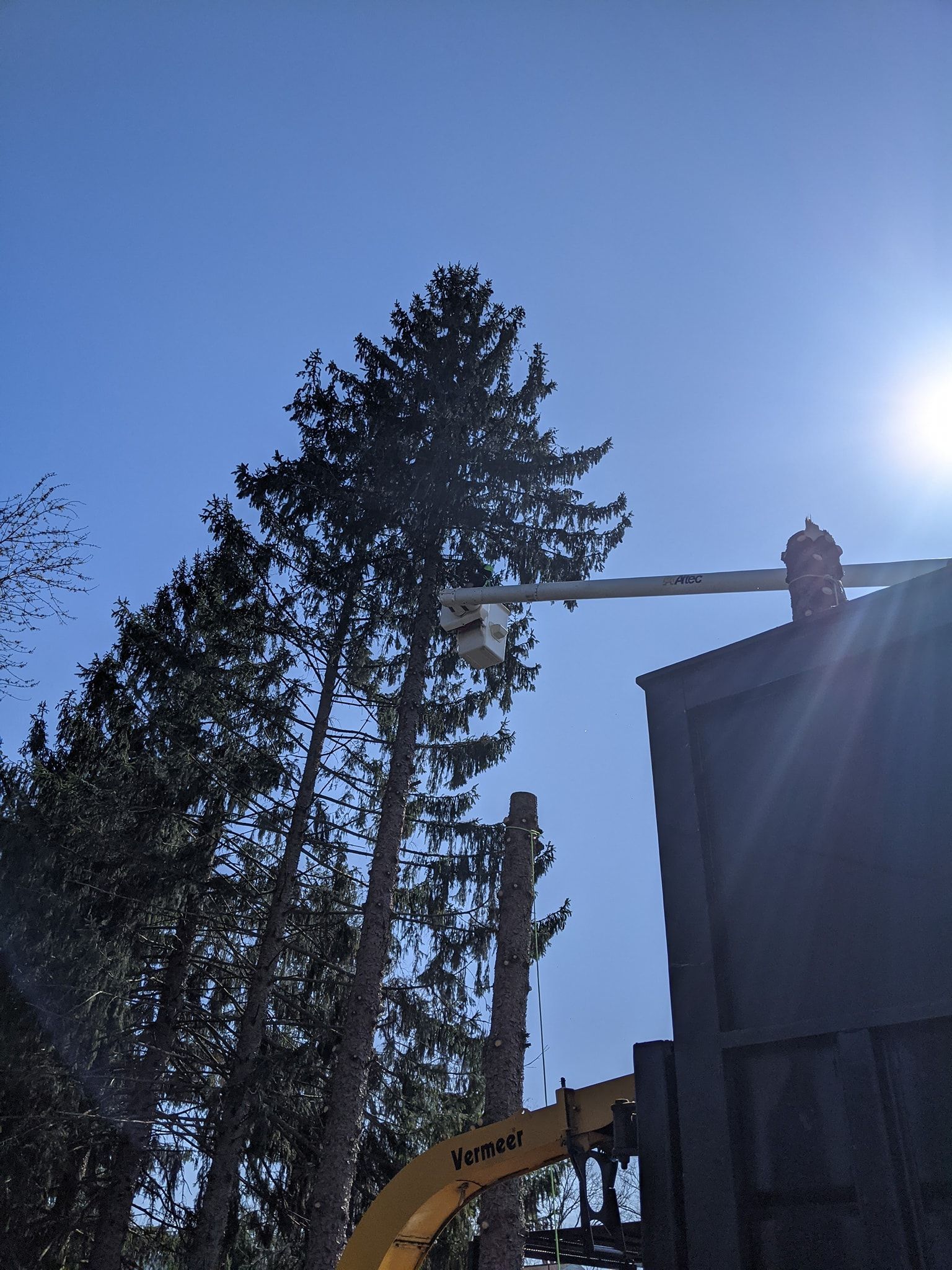 A man is cutting a tree with a crane in front of a building.