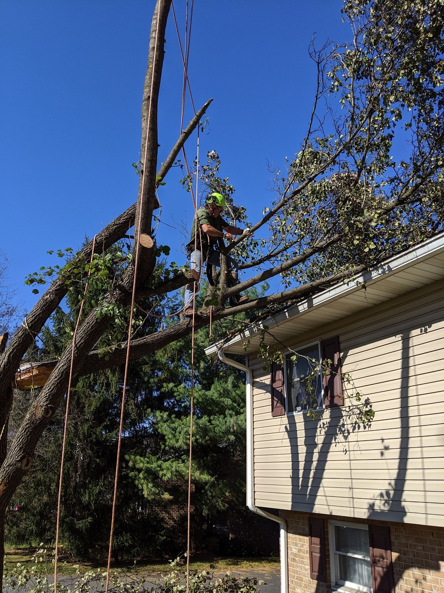 A man is standing on the roof of a house cutting a tree.