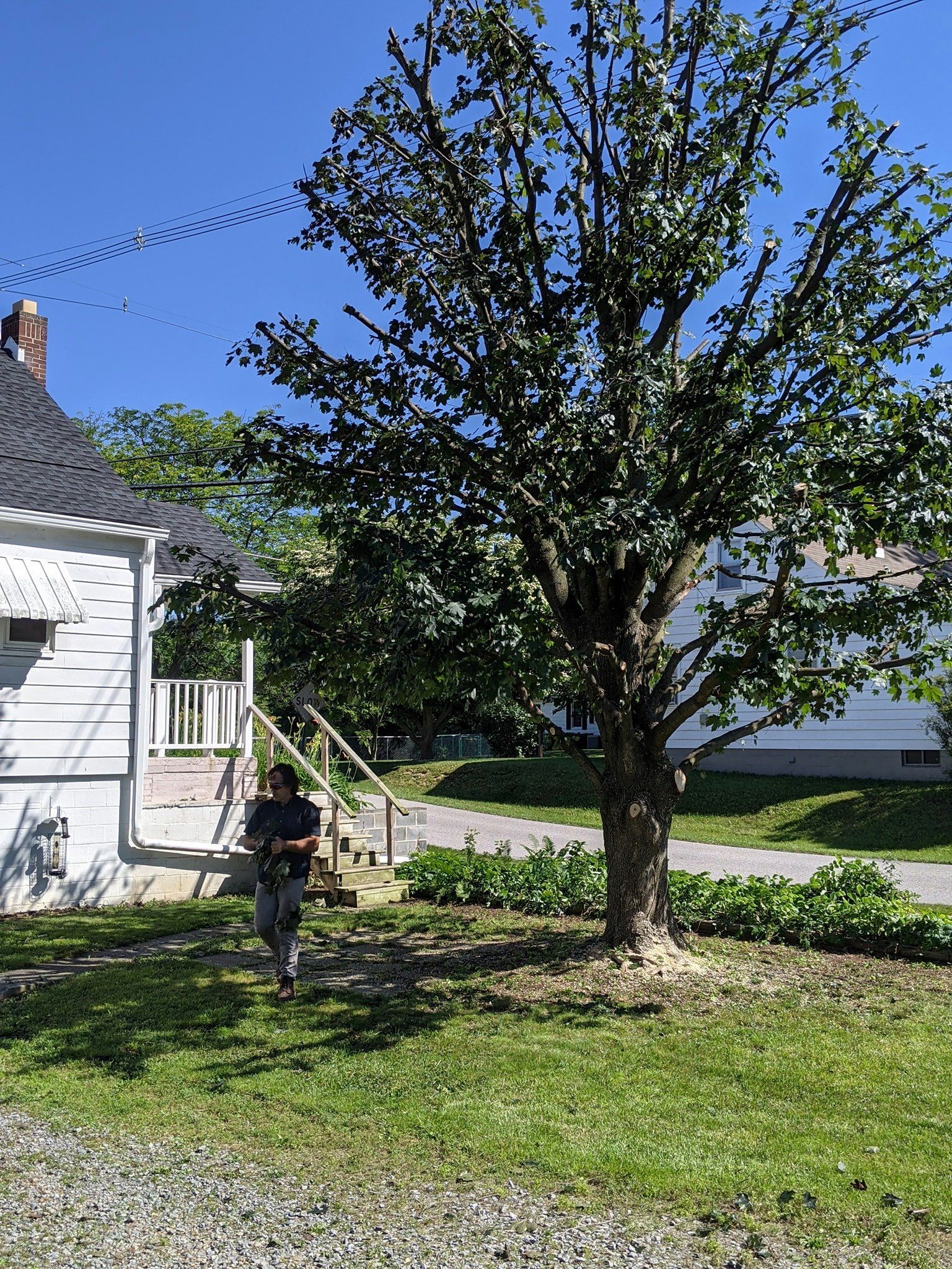 A man is standing in front of a house next to a tree.