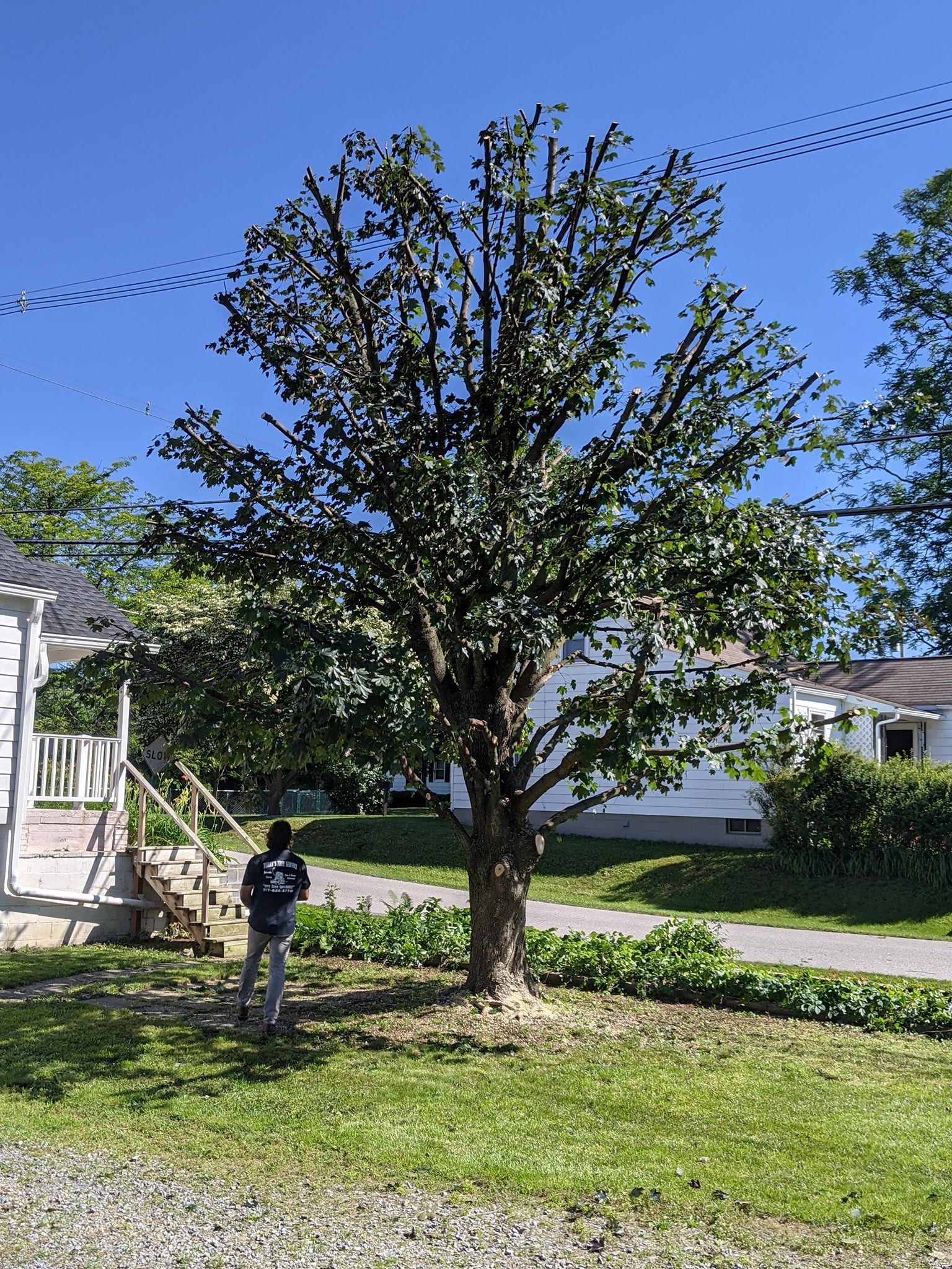 A man is standing in front of a tree in a yard.