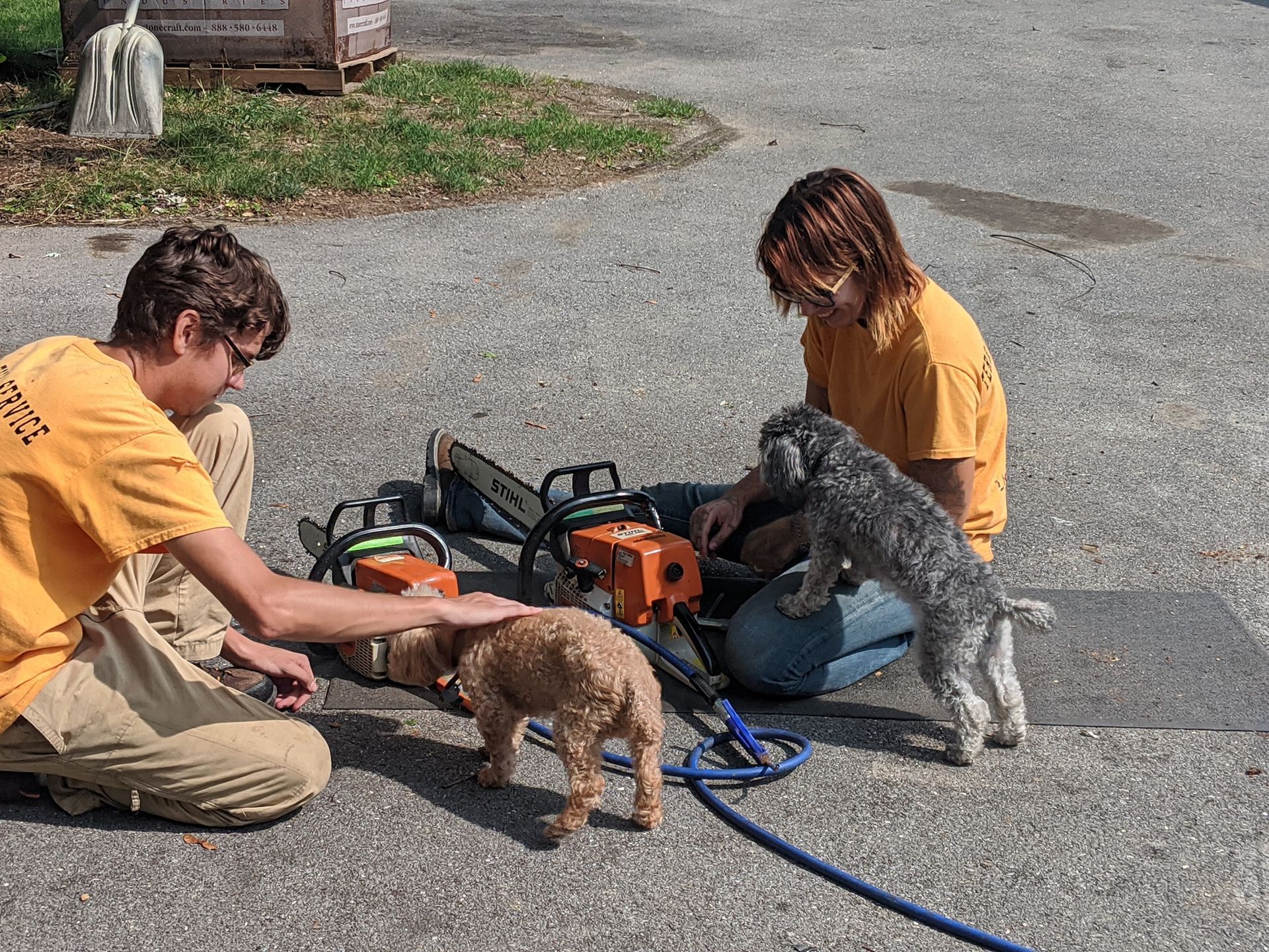 A man and a woman are kneeling down with their dogs and a chainsaw.
