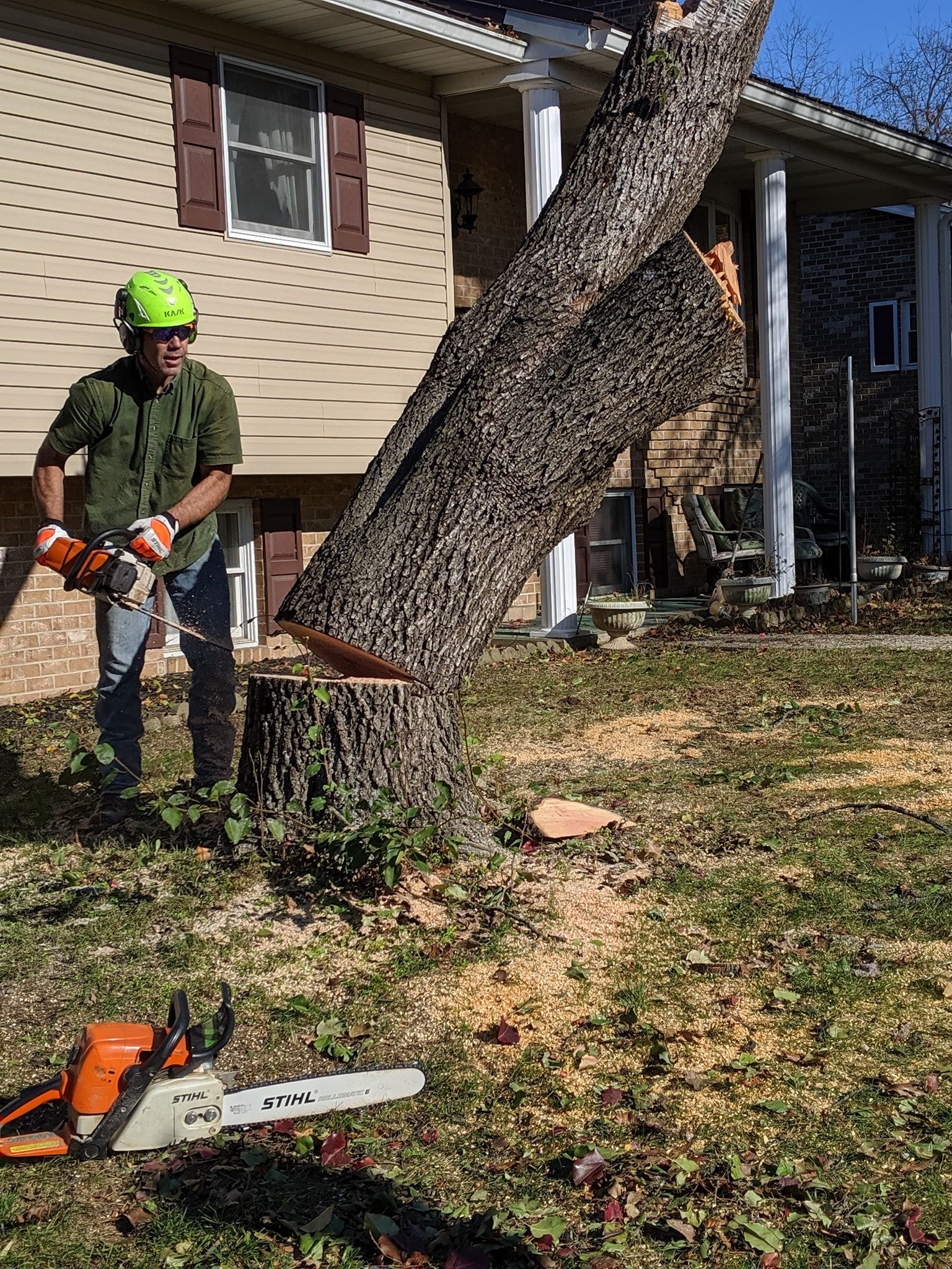 A man is cutting a tree with a chainsaw in front of a house.