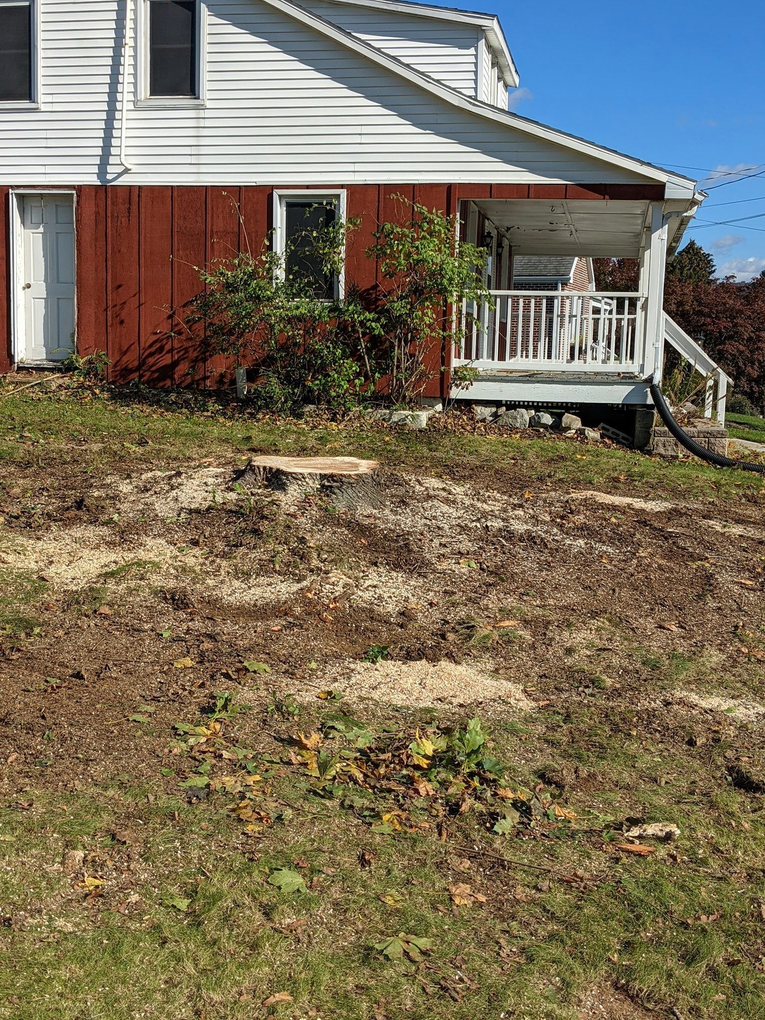 A house with a porch and a stump in front of it.