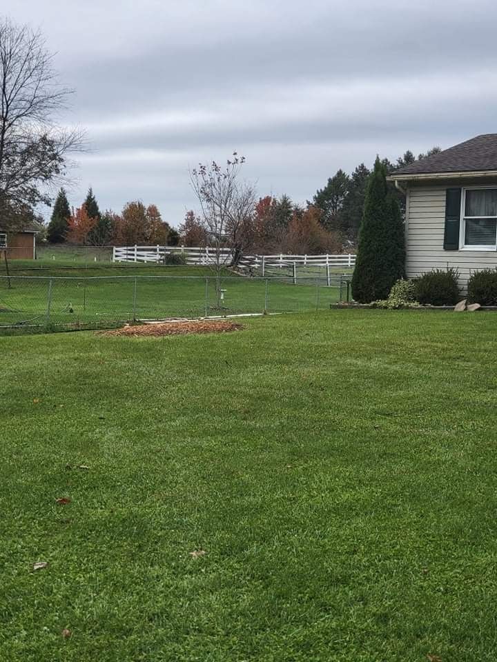 A house is sitting in the middle of a lush green field.