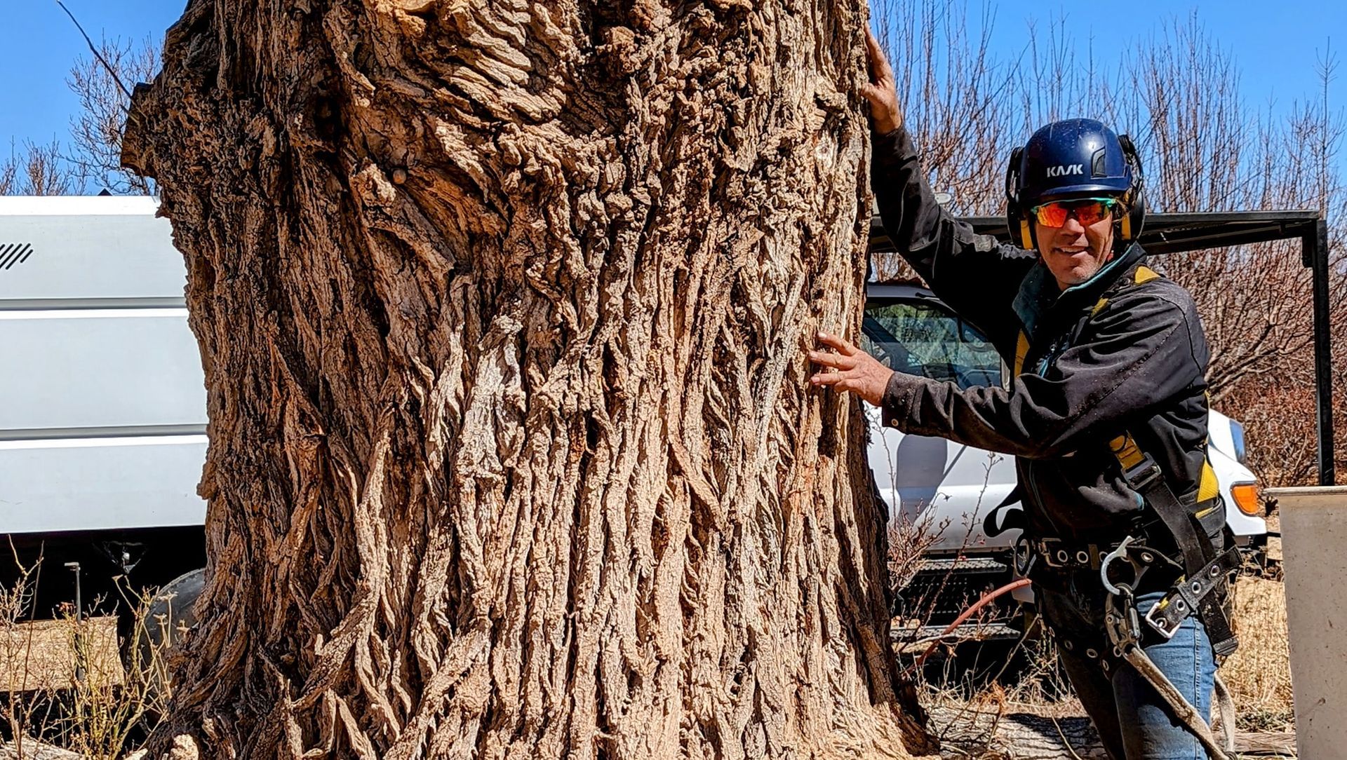 a man in a hard hat is looking up at a tree in the woods