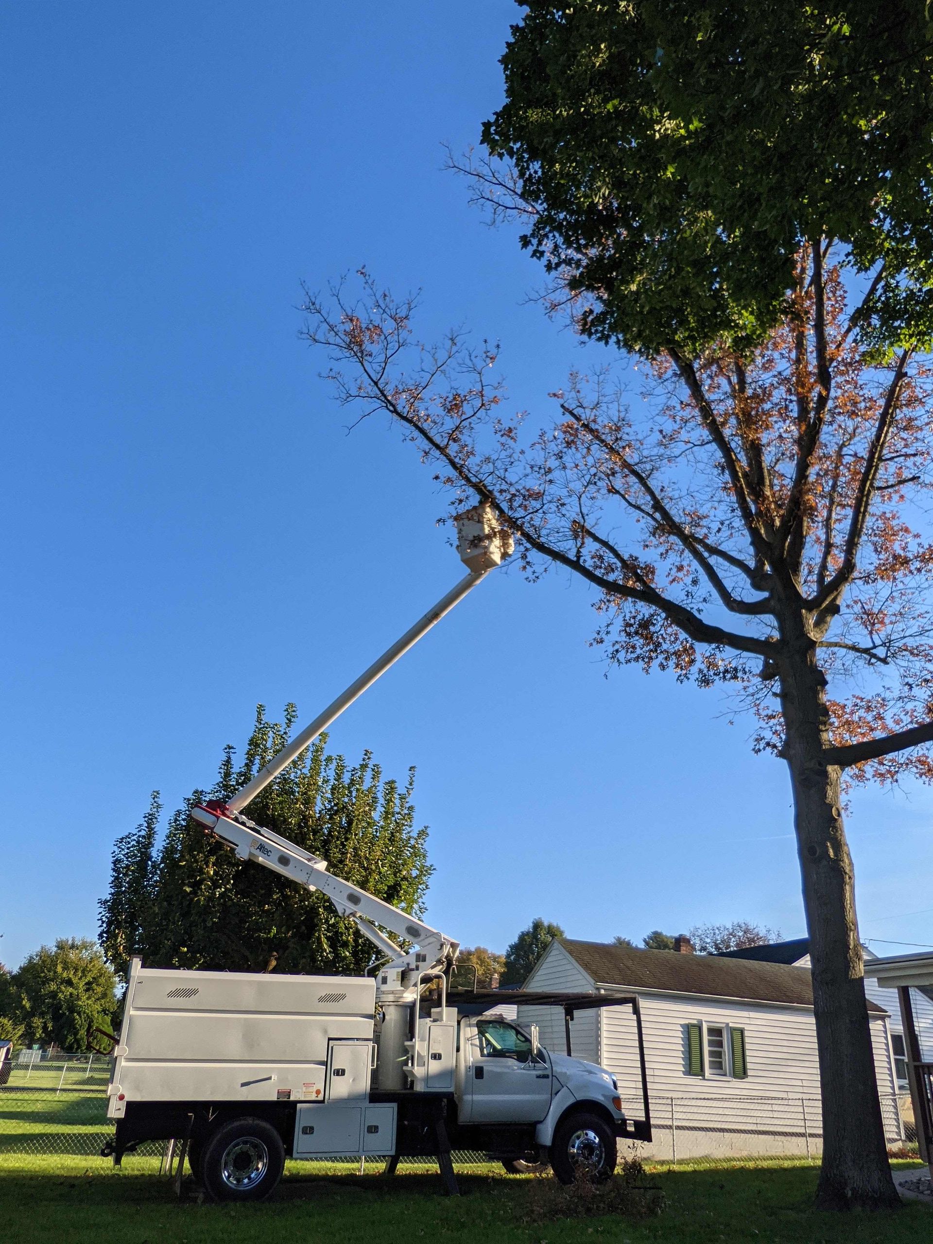 A white truck with a crane attached to it is cutting a tree