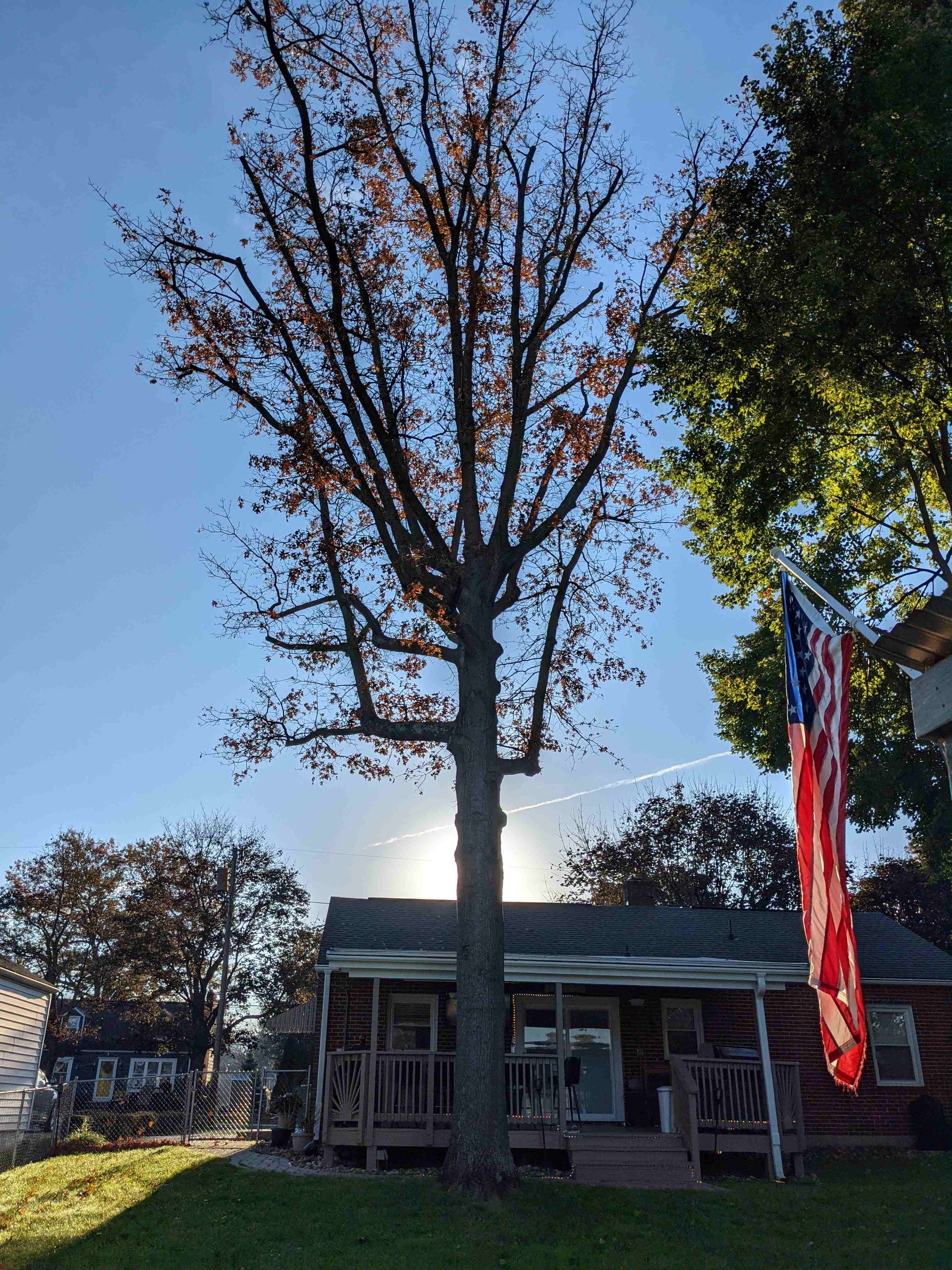 A house with a large tree in front of it