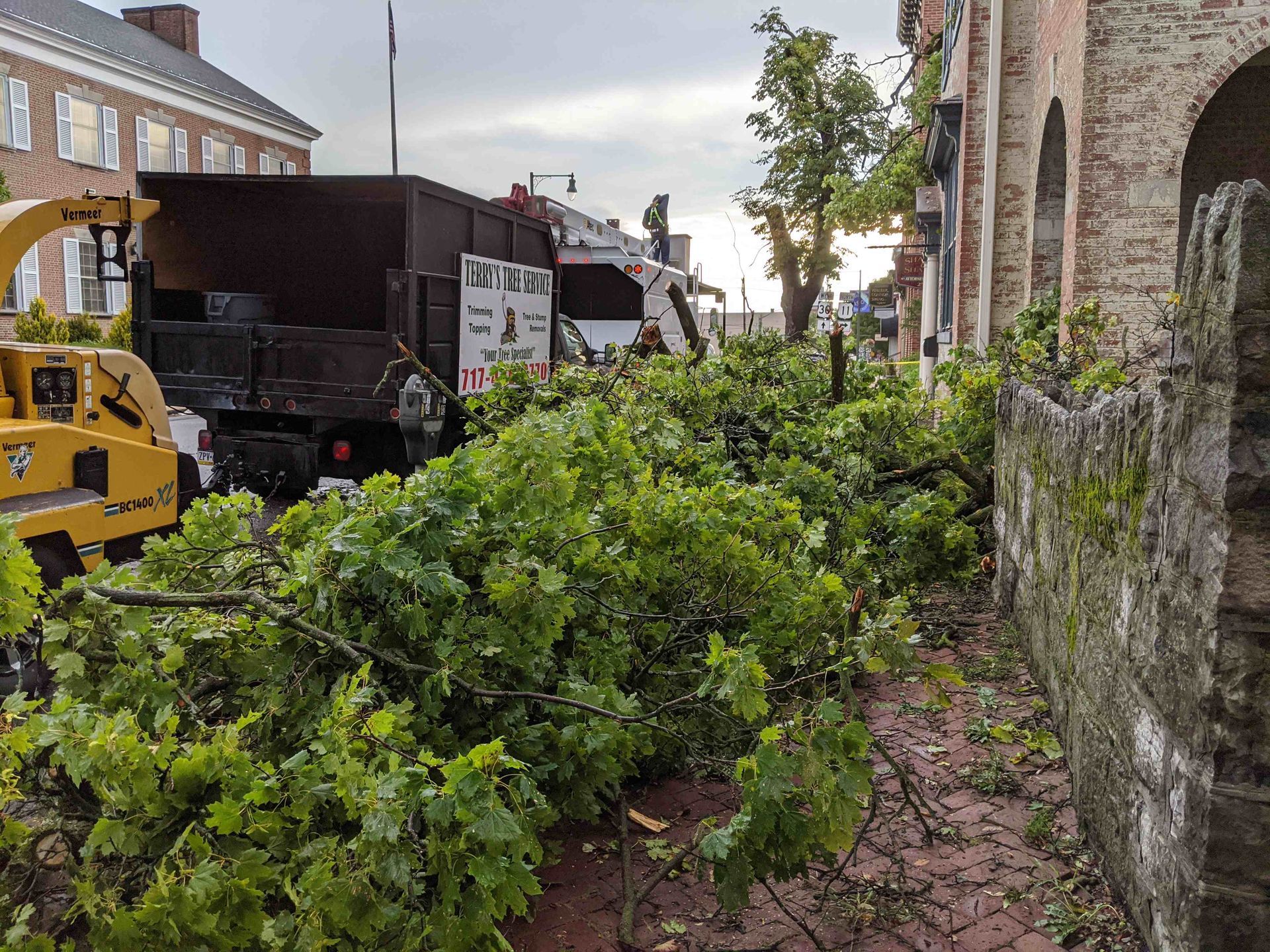 A tree is being cut down by a machine in front of a brick building.