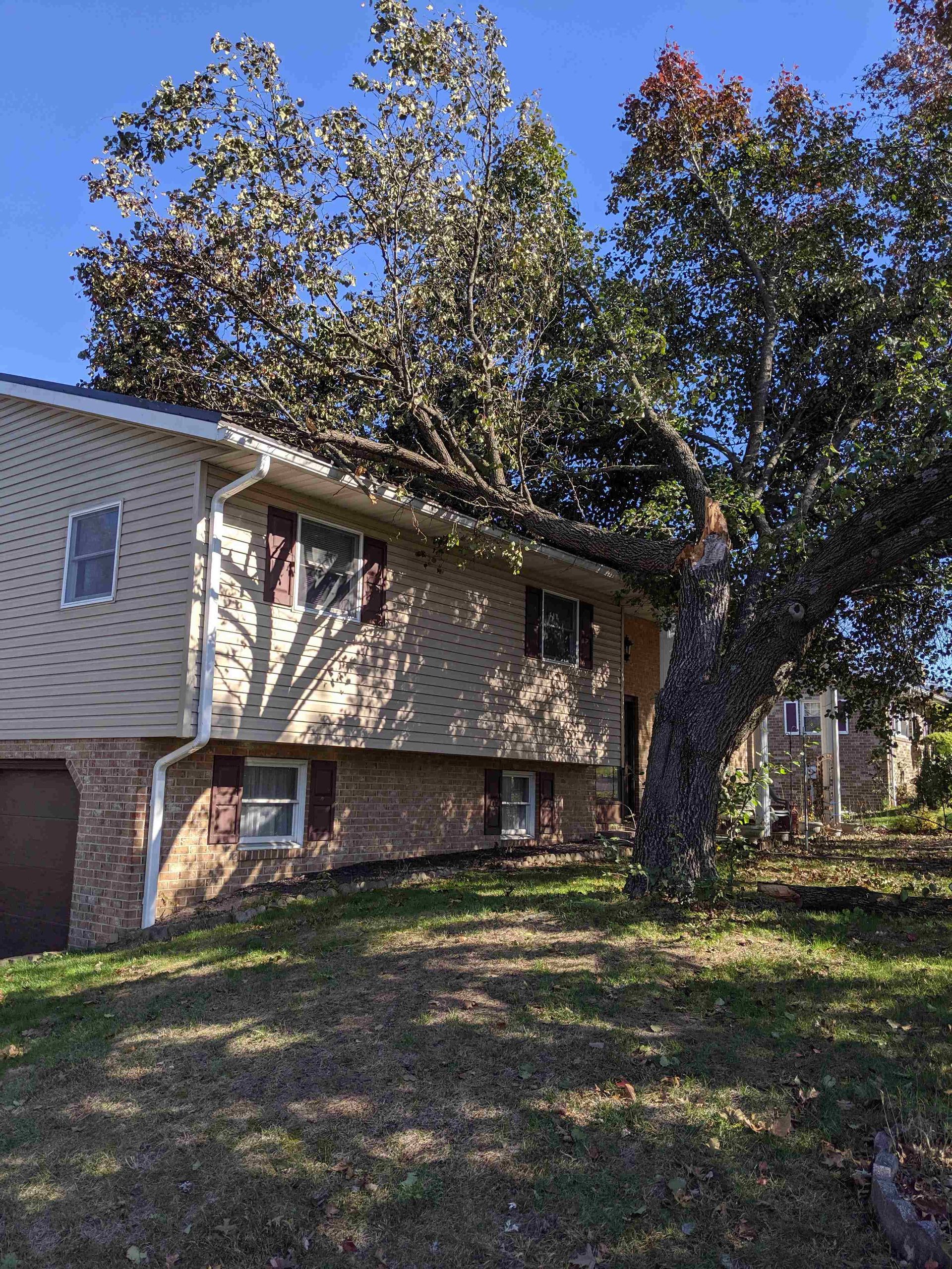 A house with a fallen tree in front of it.